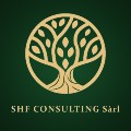 SHF Consulting 